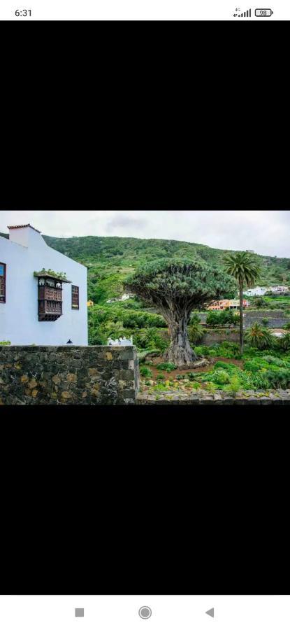 Mireya Home Icod De Los Vinos Eksteriør billede